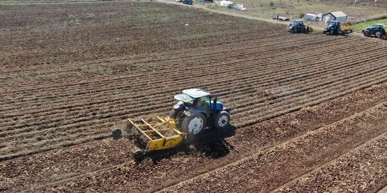 Tarımda rekor üstüne rekor