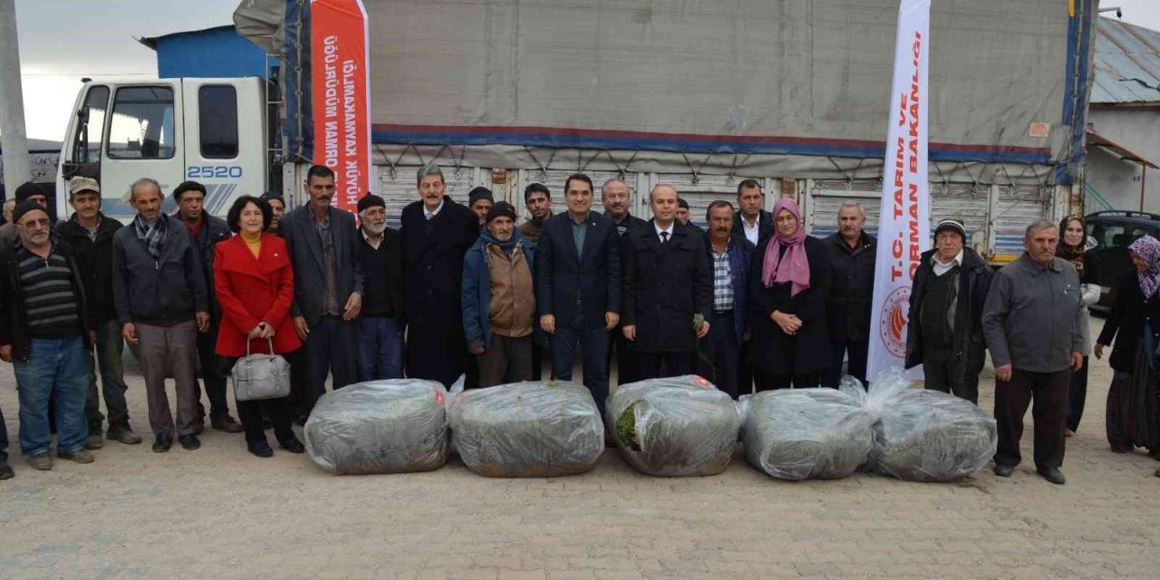 Hüyük’te üreticilere 170 bin adet lavanda fidesi dağıtıldı