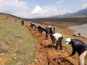 Hüyük’te Yeşil Seferberliği