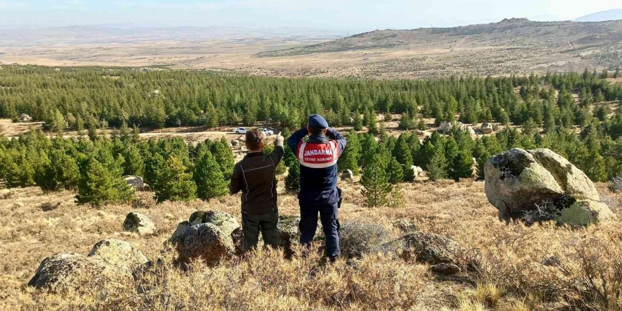 Aksaray’da jandarma Anadolu Yaban Koyunlarını dron ile takip ediyor