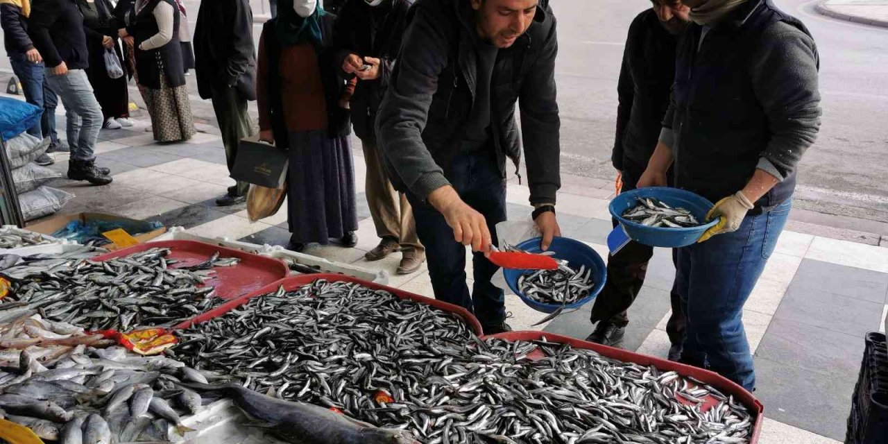 Tezgahlardaki balık bolluğu esnaf ve vatandaşın yüzünü güldürdü