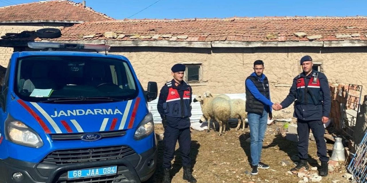 Jandarma kaybolan koyunları dron ile buldu