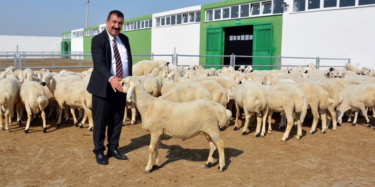 TÜDKİYEB Genel Başkanı Çelik: “Türkiye’nin yüzyılında küçükbaşı atağa geçirecek hamleler yapılmalı”