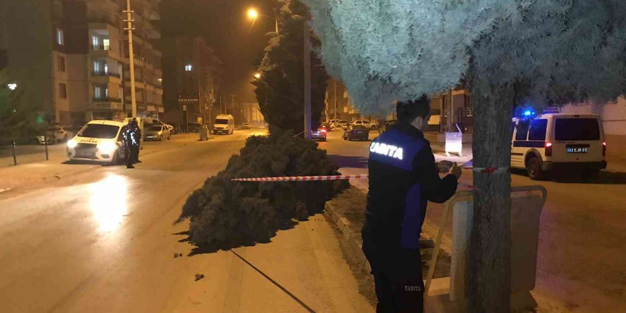 Konya’da şiddetli rüzgar ağaçları devirdi