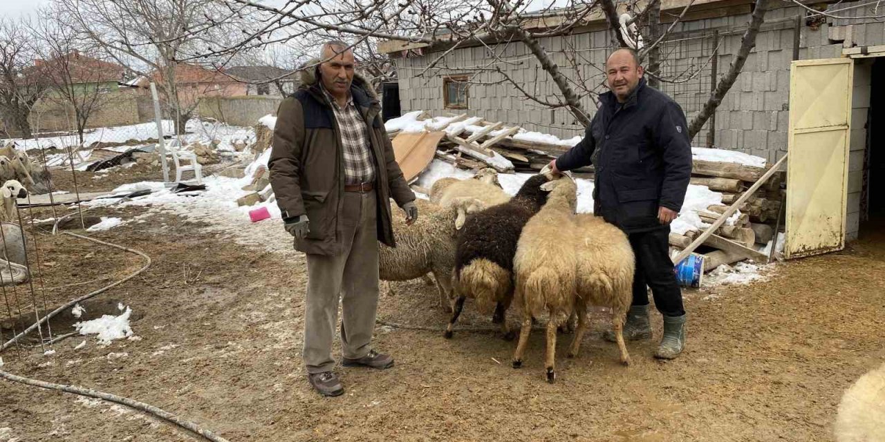 Kulu’da küçükbaş hayvan sahiplerinden depremzedeler yardım