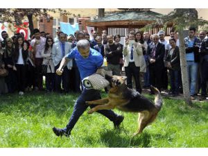 Köpeklerin Eğitim Gösterisine İzleyicilerden Yoğun İlgi