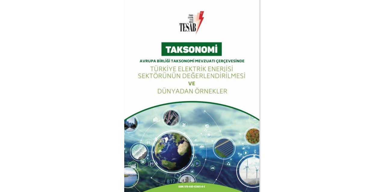 Enerji sektöründe ilk niteliği taşıyan kitabı "Taksonomi" yayımlandı