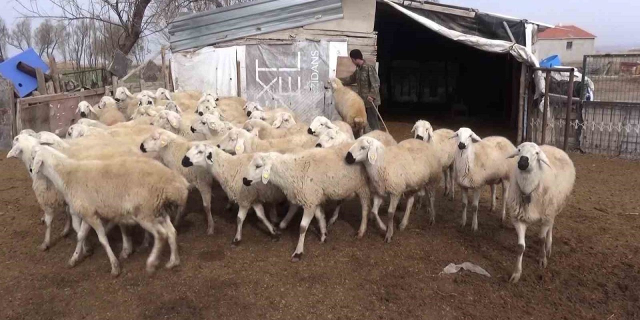 Karamanlı üreticiler, yabancı uyruklu çoban ve tarım işçileri için sabit maaş düzenlemesi istiyor