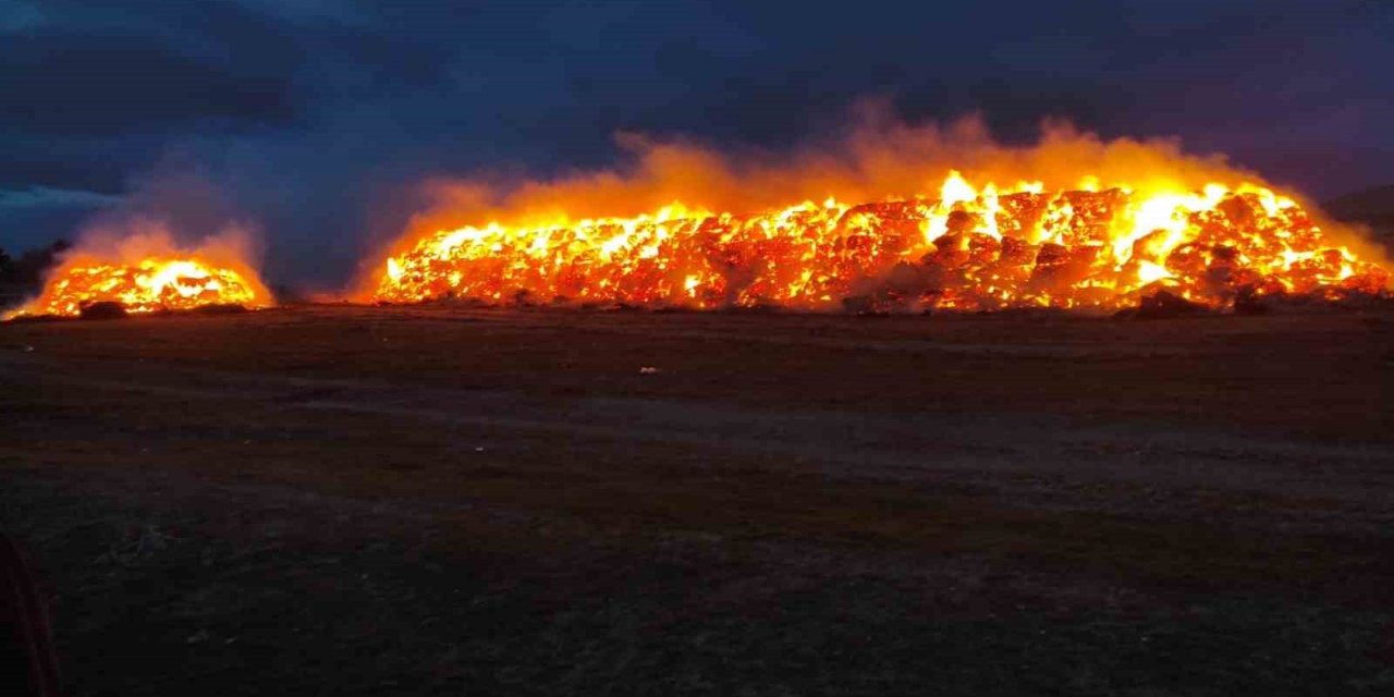 Konya’da 2 bin fiğ ve 800 ton yonca balyası yandı