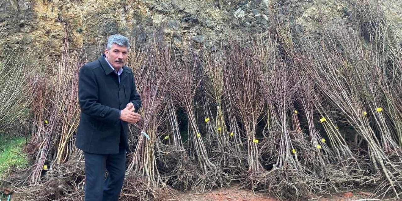 Akdağmadeni’nde maliyetine meyve fidanı satışı başladı