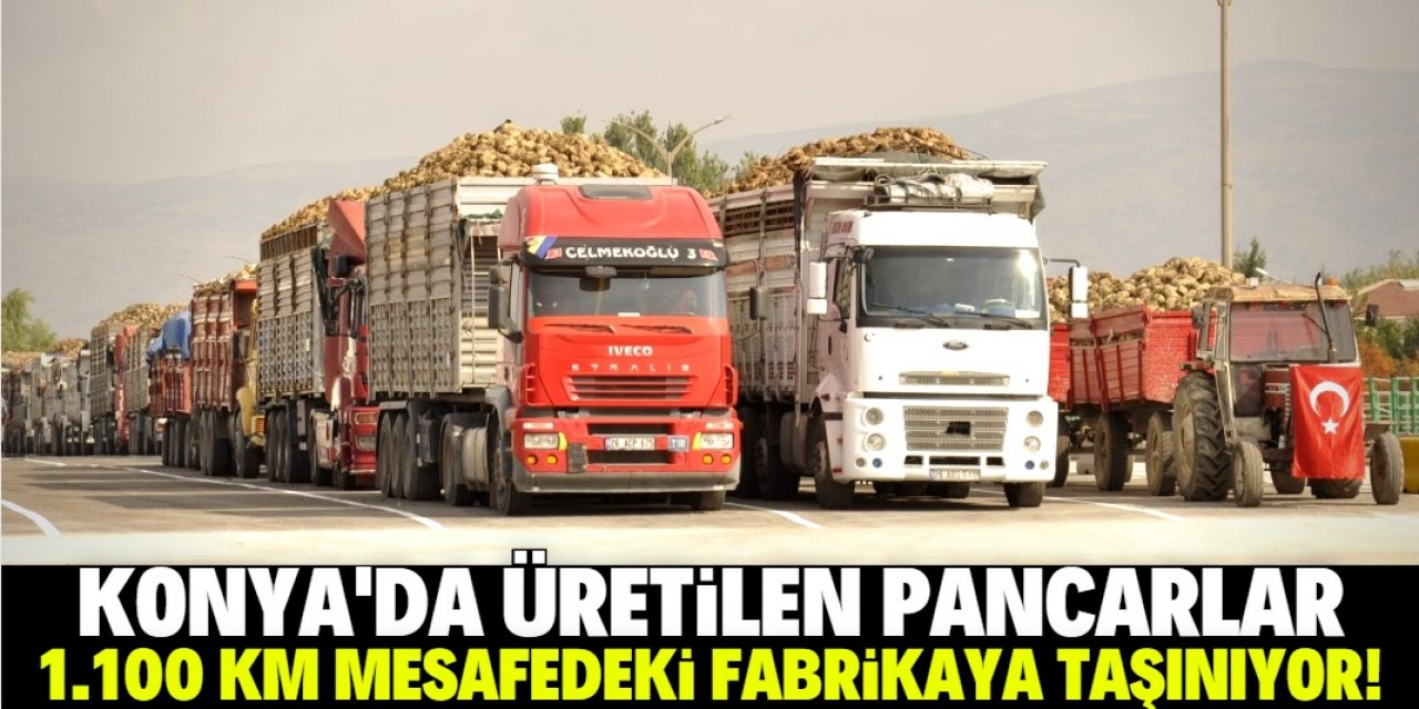 Konya'dan üretilen pancarlar Bin 100 KM mesafedeki fabrikaya taşınıyor