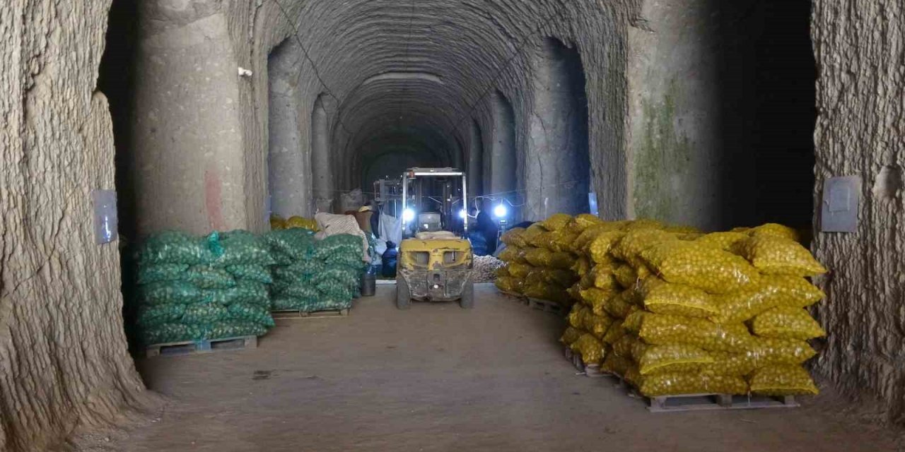 Milli patates tohumları toprakla buluşuyor