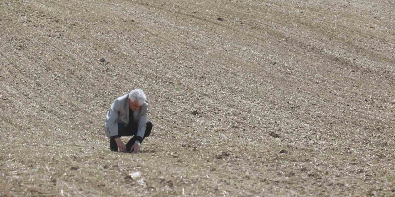 Soğanın başkentinden tüketiciye müjde