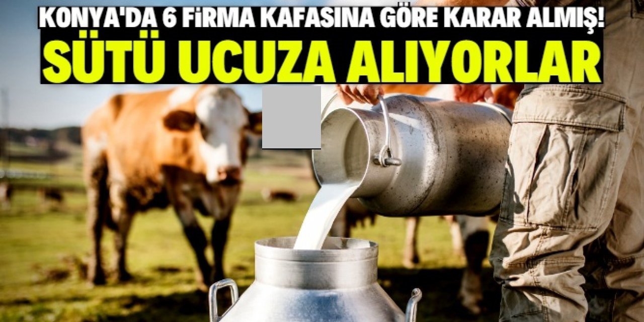 Konya'da 6 firma sütü düşük fiyattan alıyor