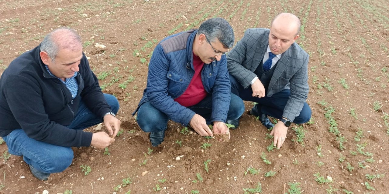 Hüyük’te araziler yağışlarla bereketlendi