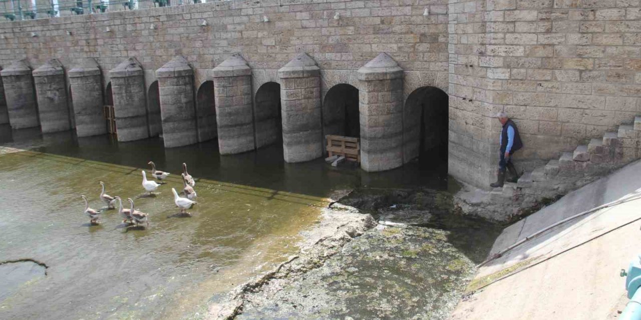 Köprü önüne ve regülatör gözleri içinde kuluçkaya yatan Meke ve kazlar ilgi odağı oldu