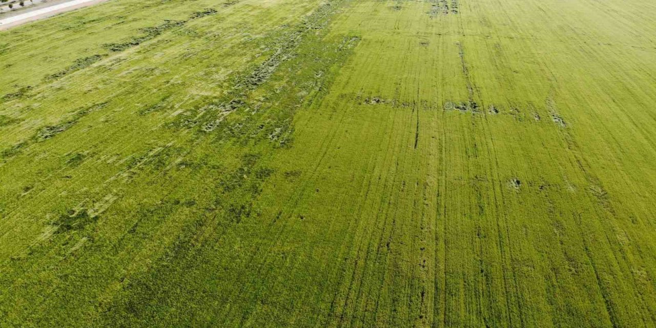 Karadeniz’den çıkan doğal gazla kurulacak gübre fabrikaları çiftçileri umutlandırdı