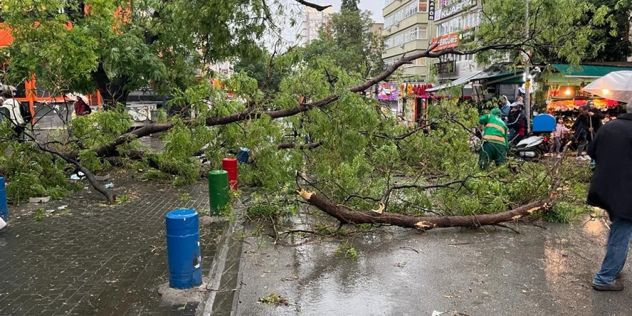 Meteoroloji’den Çığ ve Fırtına Uyarısı: 48 İl İçin Sarı Alarm