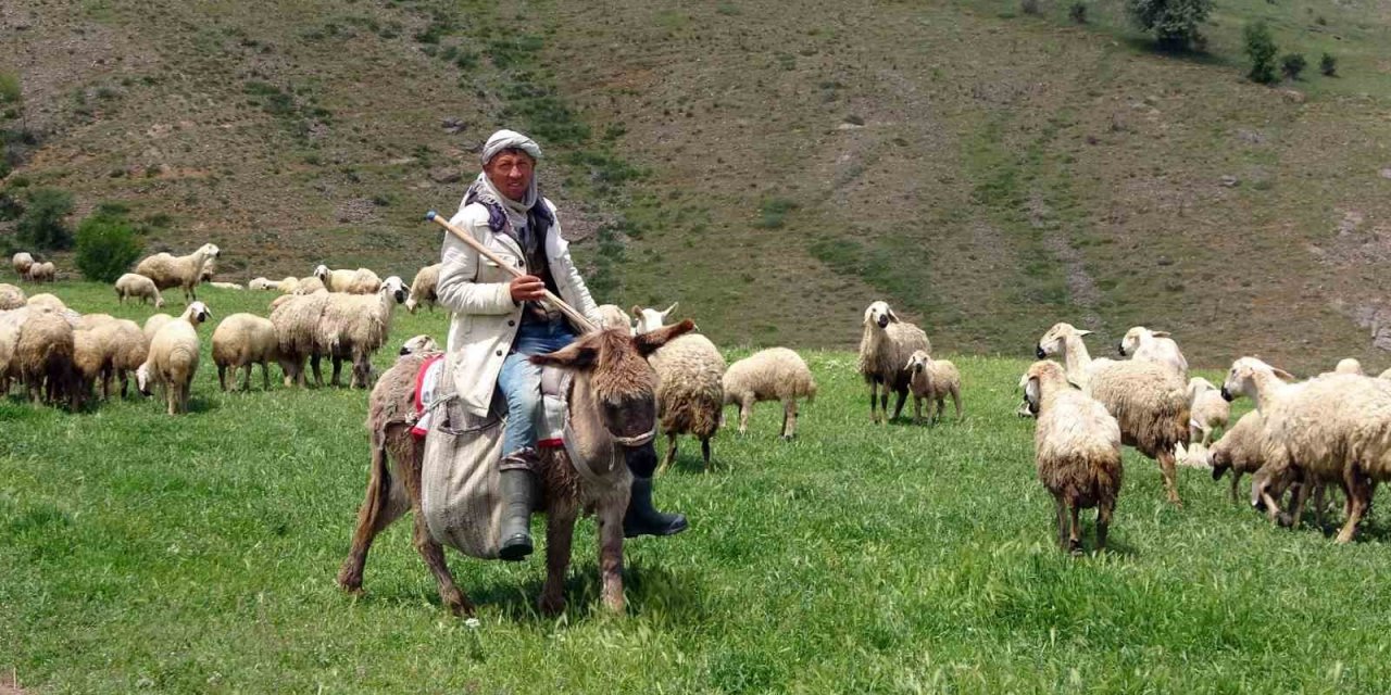 Yozgat’ta 16 bin lira maaşlı iş, Türkler beğenmeyince Afganlara kaldı