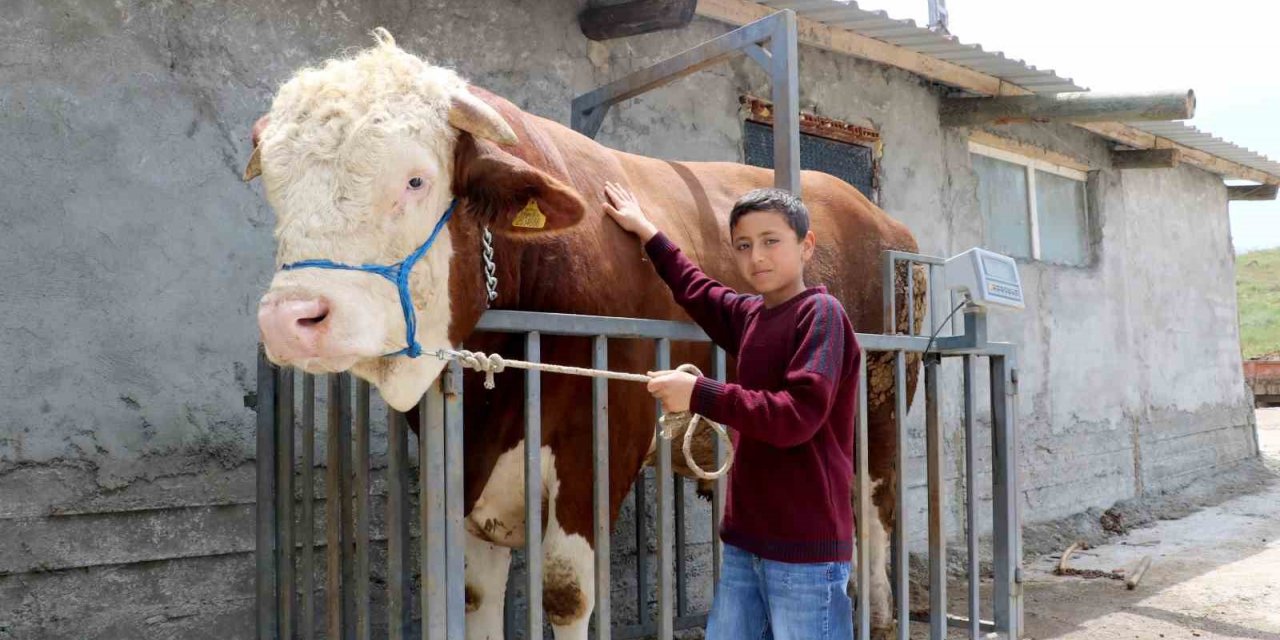 Heybeti görenleri büyülüyor, fiyatı ise dudak uçuklatıyor