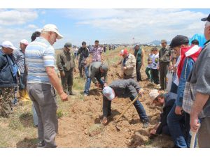 Beyşehir’de Fidan Dikme Etkinliği