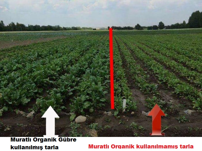 Muratlı Organik Gübre, "Kalitemiz maksimum, fiyatlarımın minimum"