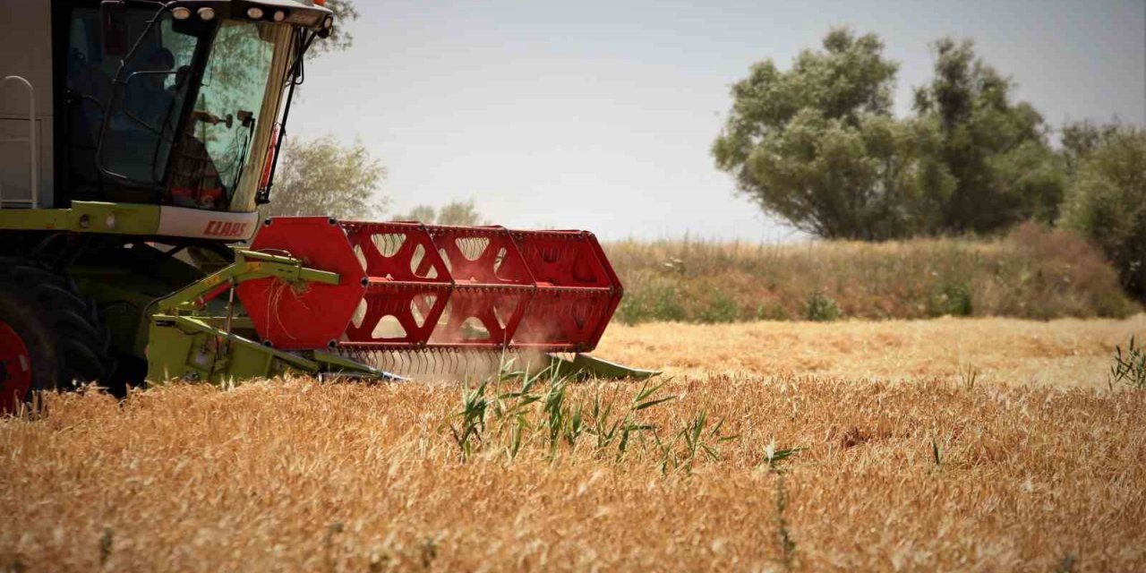 Konya Ovasında hasat sezonu yaklaşırken çiftçilere ürün satış uyarısı