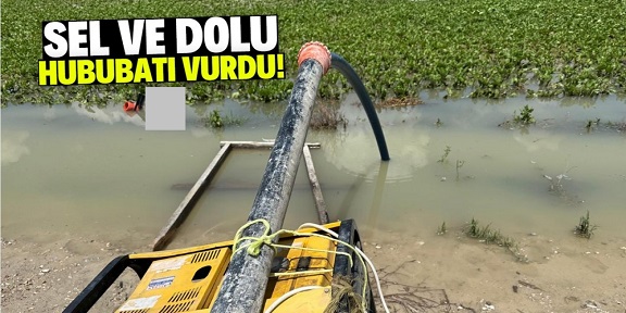 Karapınarda ekili alanları dolu vurdu