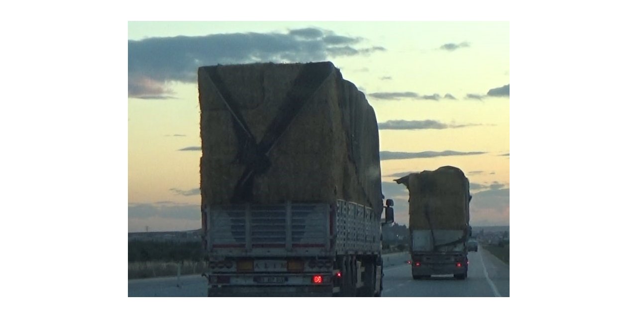 Saman balyası yüklü kamyonların tehlikeli yolculuğu