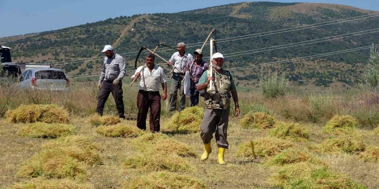 Aylıkları 30 bin liraya geliyor ancak sayıları her geçen gün azalıyor