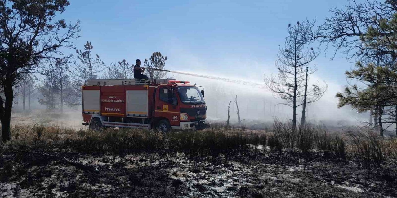 Konya’da Erozyon Önleme Sahası’nda orman yangını