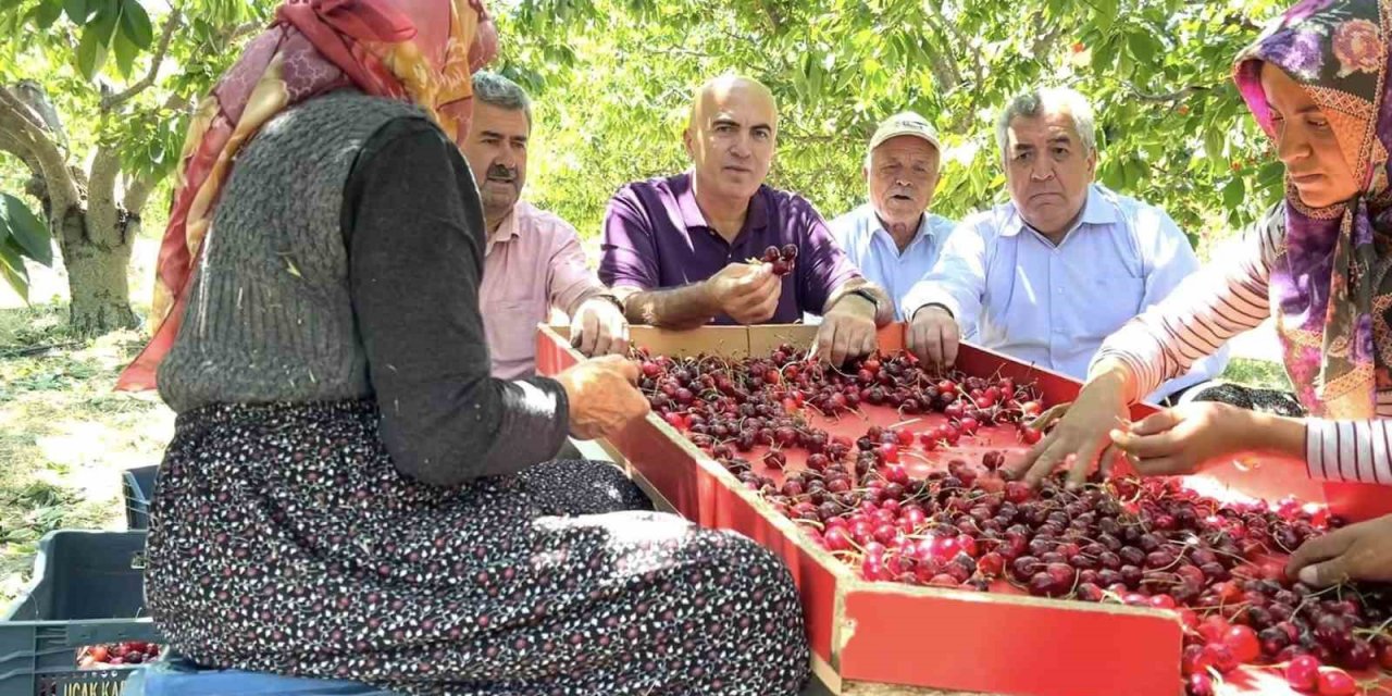 Karaman Ziraat Odası Başkanı Bayram: "Tüccar şu an 28-32 kalibre boyundaki kiraza 15 lira fiyat veriyor"