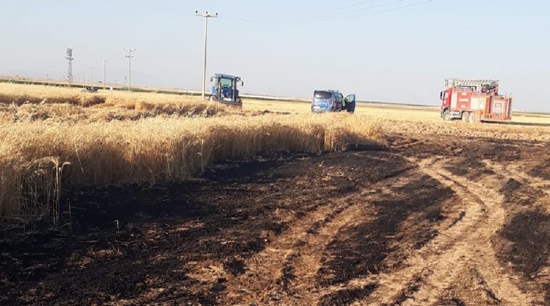 Eskil'de tarlada yangın! 22 dekar buğday tarlası zarar gördü