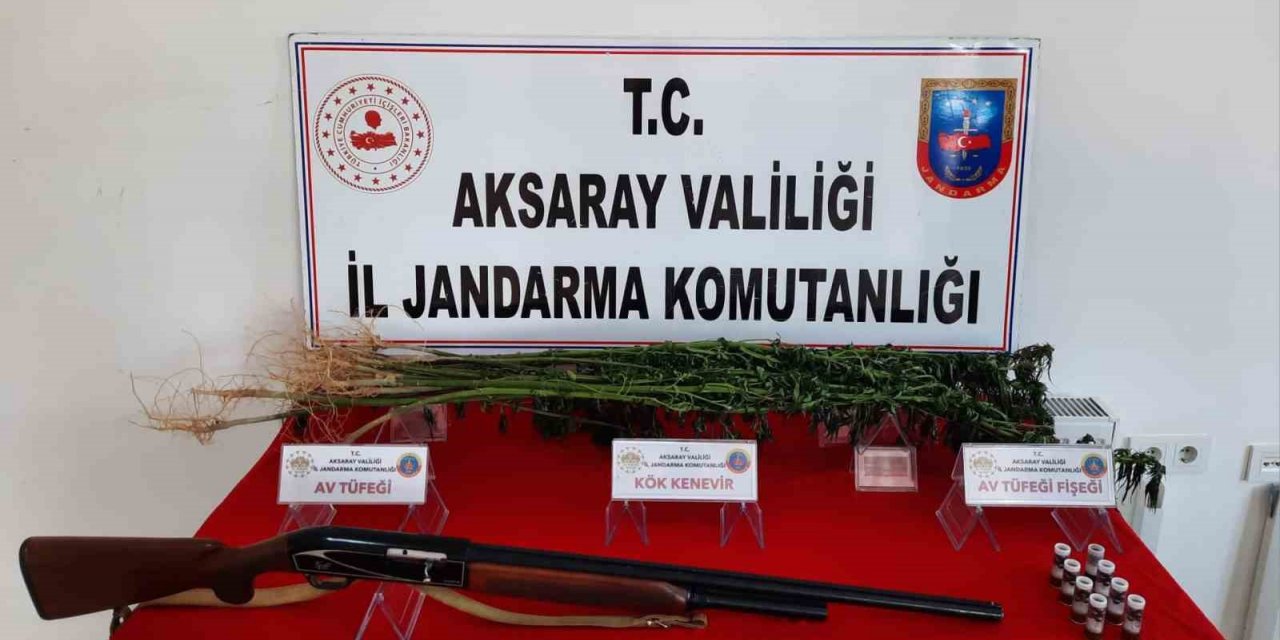 Aksaray’da kenevir yetiştiren şüpheli gözaltına alındı