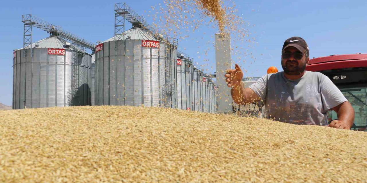 Türkiye’nin buğday ambarında yeni bir rekor bekleniyor