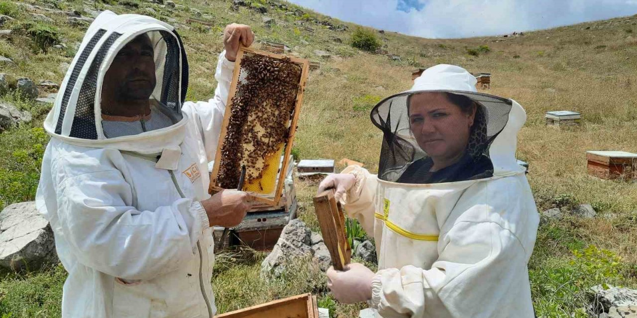 2 bin 500 rakımlı yaylalarda aile boyu arı mesaisi