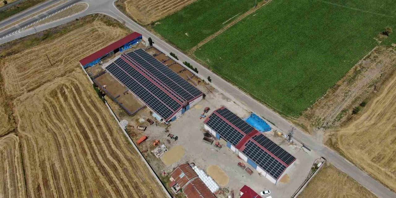 Tükettiği enerjiden fazlasını üretti, fazla ürettiği elektriği aktaracak yer arıyor