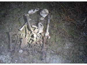 Gölde Bulunan İnsan İskeletinin Esrarı Sürüyor