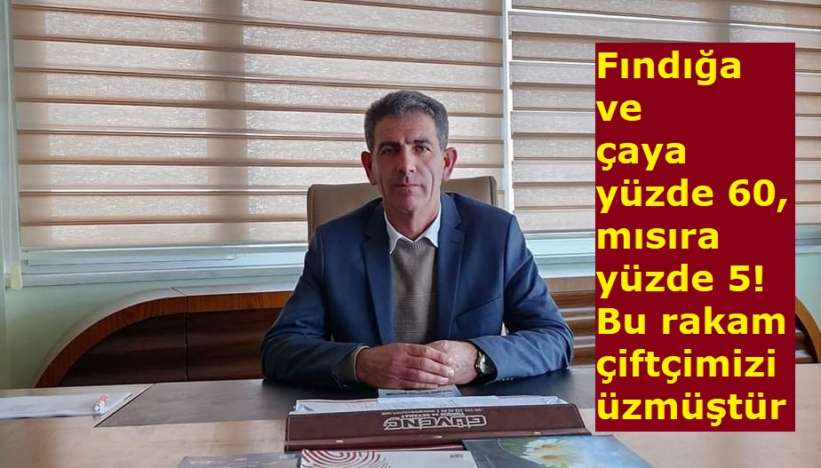 Fındığa ve çaya yüzde 60 mısıra yüzde 5! Bu rakam çiftçimizi üzmüştür