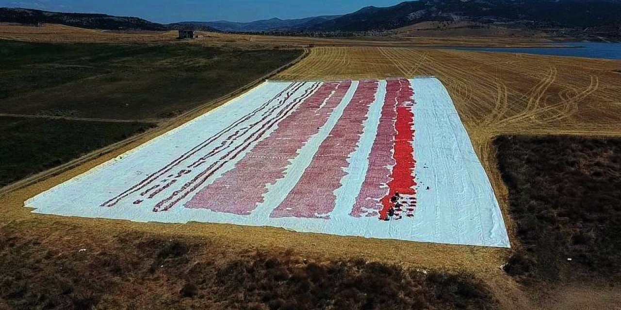 Yozgat’ta kurutulmak için serilen domatesler tarlaları kırmızıya bürüdü