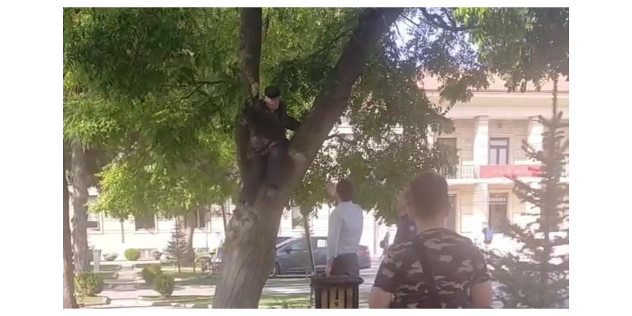 Maaşını alamayan vatandaş valilik önünde ağaca çıktı