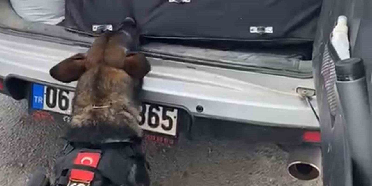 43 ilin geçiş güzergahında uyuşturucuya geçit yok: 36 kilogram ’skunk’ ele geçirildi