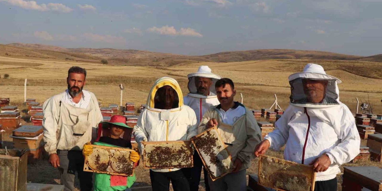 Sivas çiçek balı üretiminde ilk sırada