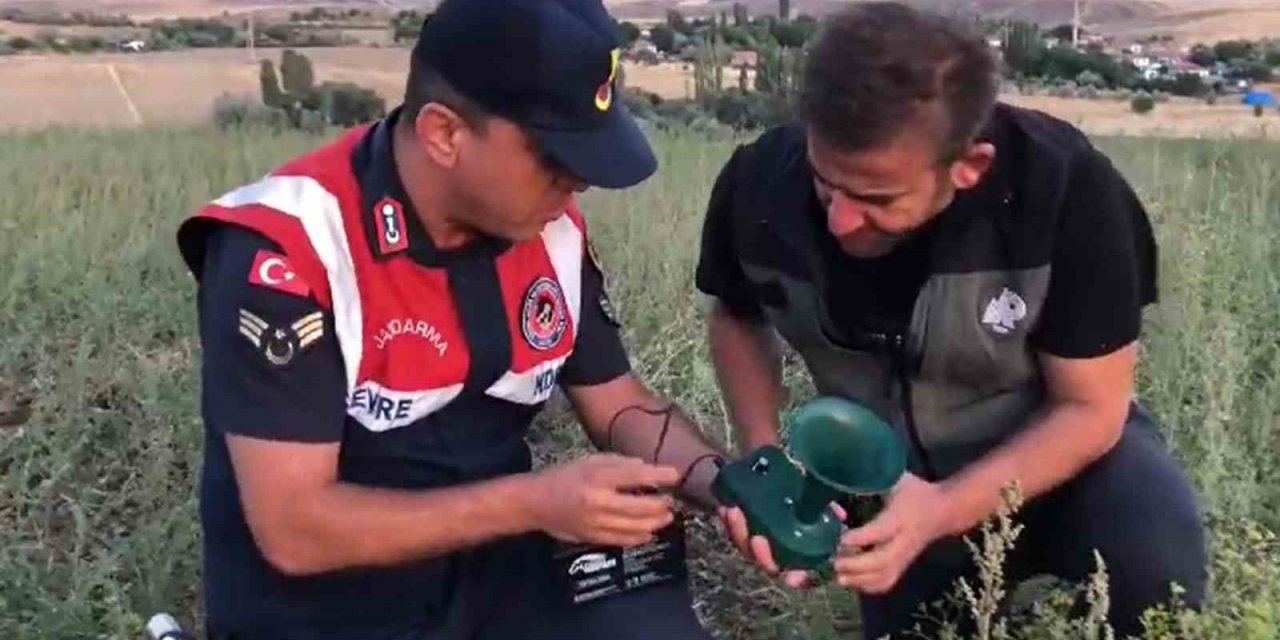 Kaçak avcıların ses oyununu jandarma bozdu