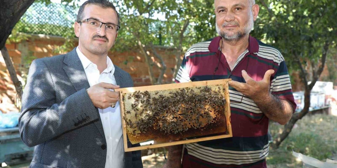 ’Sokmayan arılar’ Yozgat’ta lavanta balı üretimine başladı