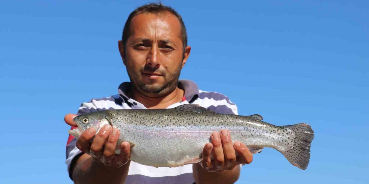 Rusya’nın somon ihtiyacı denize kıyısı olmayan Sivas’tan karşılanıyor