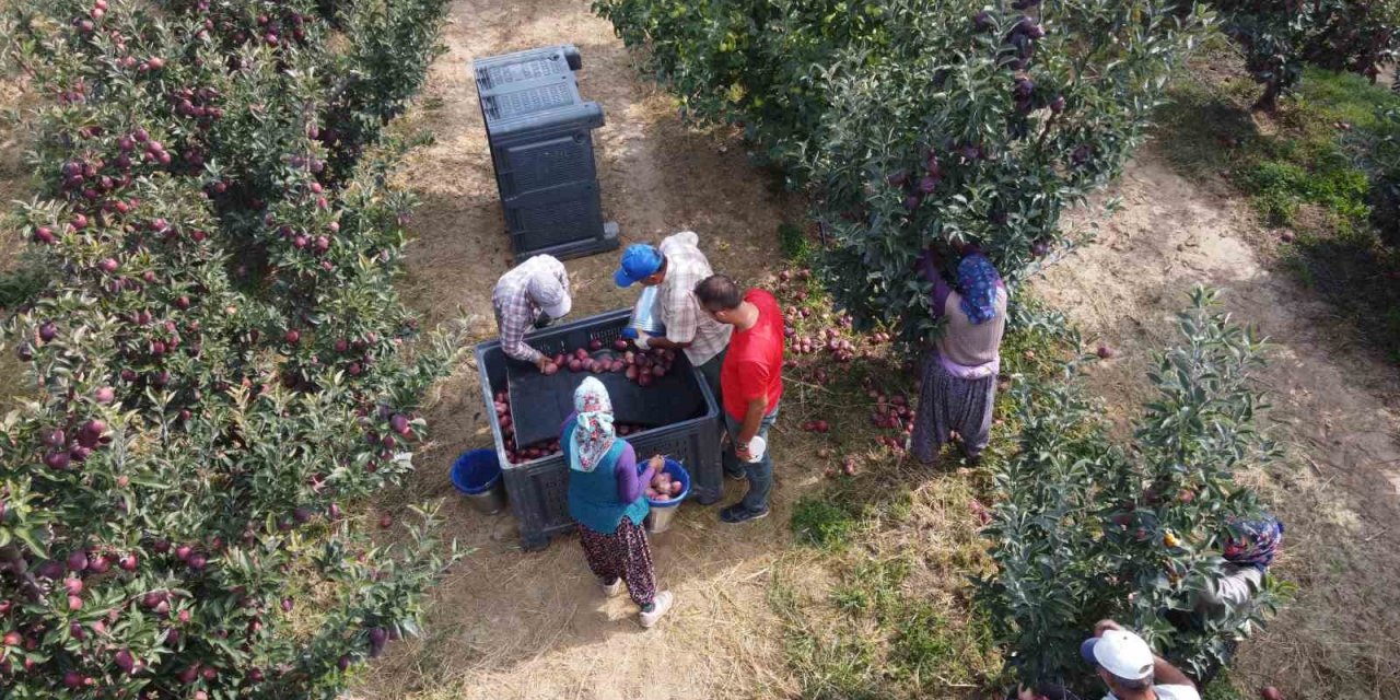 Beyşehir’de elma hasadı sürüyor