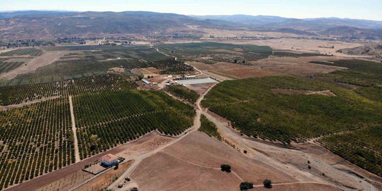 Köyde hayata geçen proje göçü tersine çevirdi