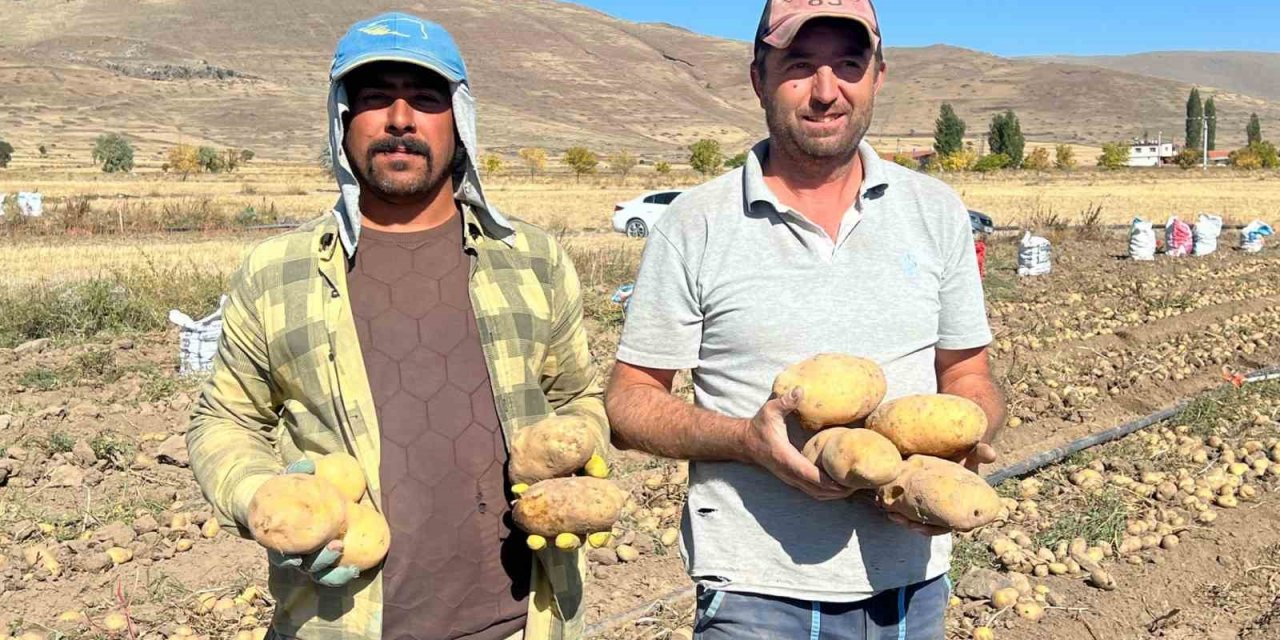 Nevşehir’de patates hasadı başladı