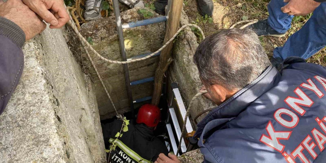 İtfaiyeden kuyudan koyun kurtarma operasyonu